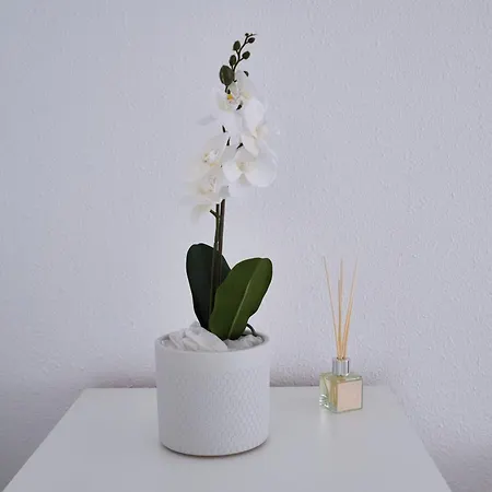 Appartement Turismobilbao2024