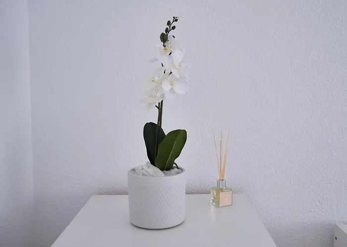 Lägenhet Turismobilbao2024